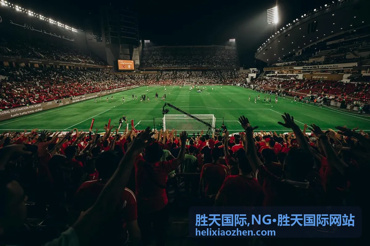 胜天国际网站首页展示图