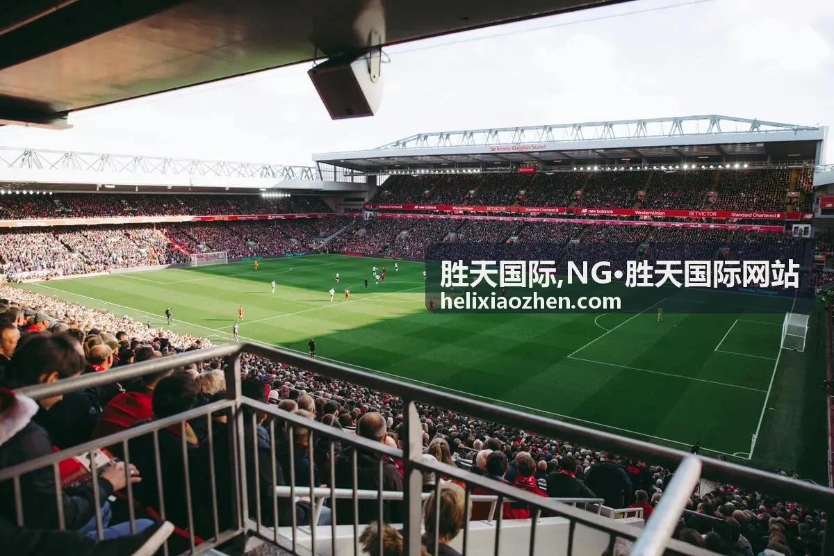 NG·胜天国际网站栏目整理图